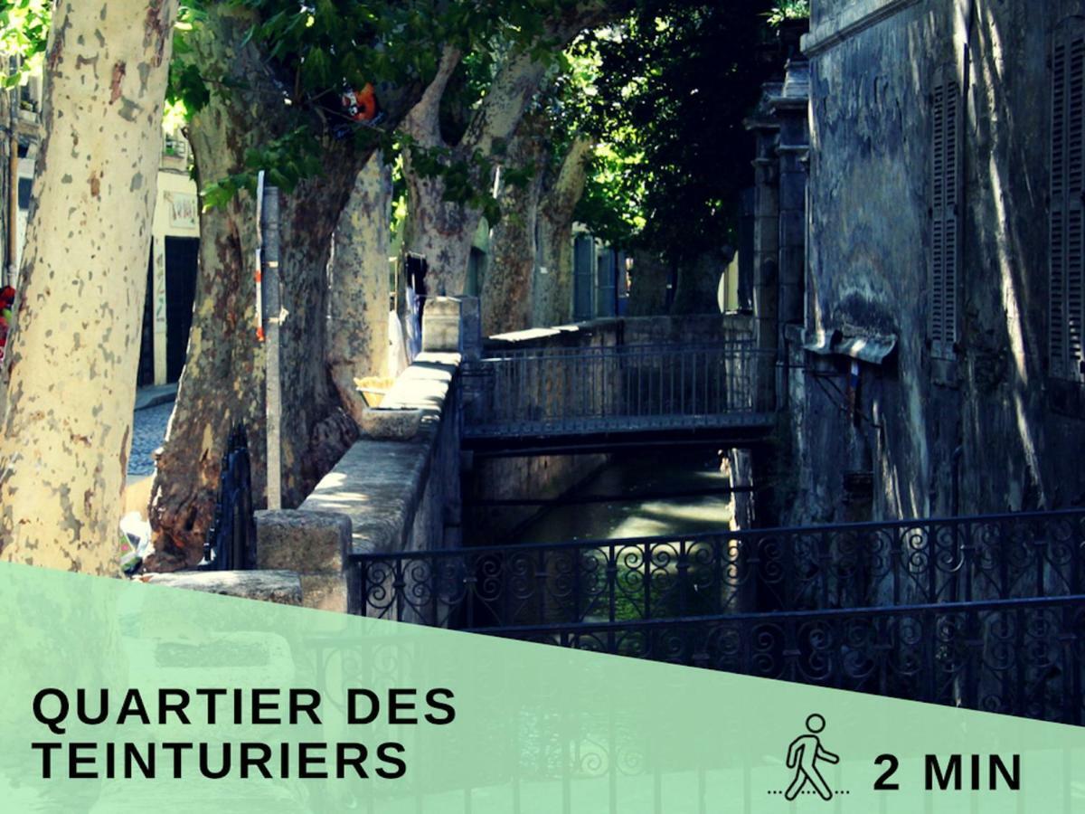 ★ Le Petit Avignonnais ★ Countryside ★ Intramuros ★ Center ★ Екстер'єр фото